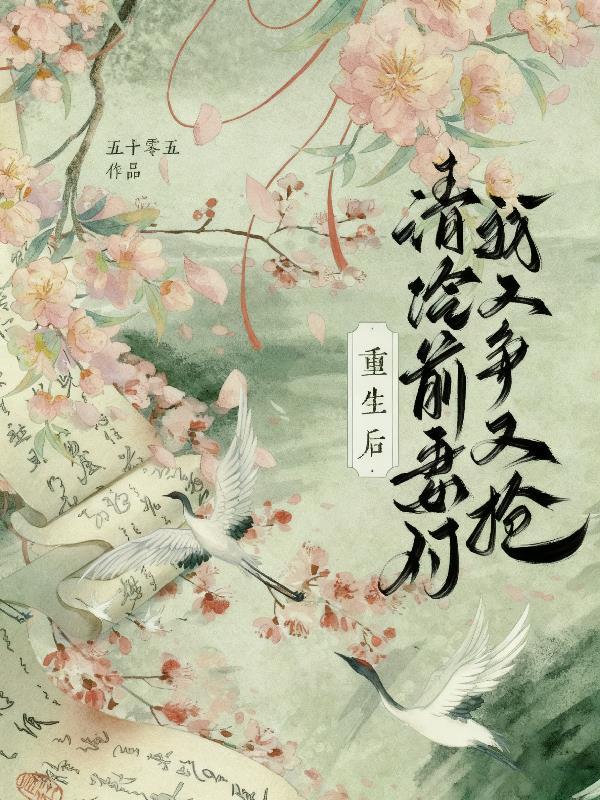 精灵宝可梦之网游时代