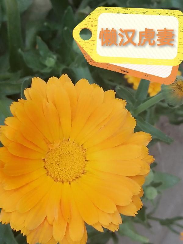 团灭漫画he的唯一途径