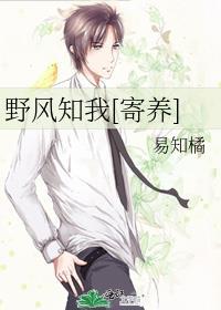 马甲和老婆总要有一个吧