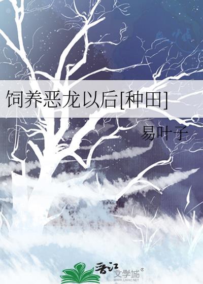 不要在幻影旅团认错哥哥
